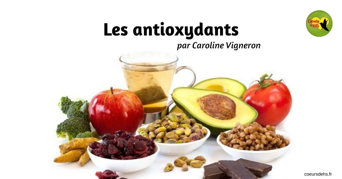 Les antioxydants – Caroline Vigneron