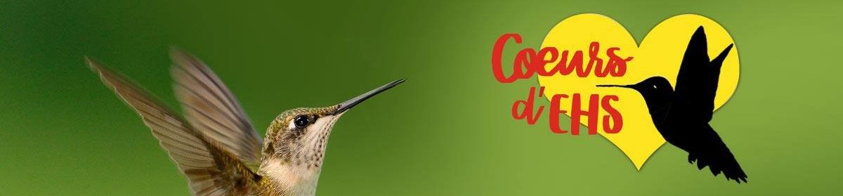 Cœurs d'EHS