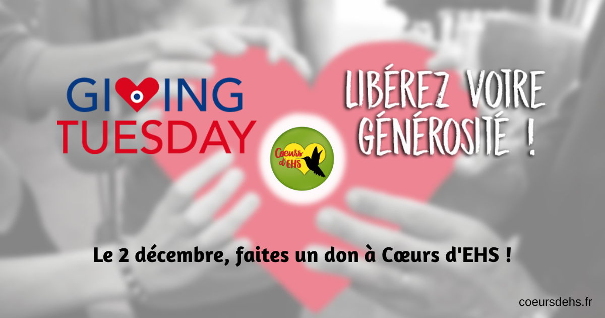 GIVING TUESDAY : Le 2 décembre, faites un don à Cœurs d’EHS !